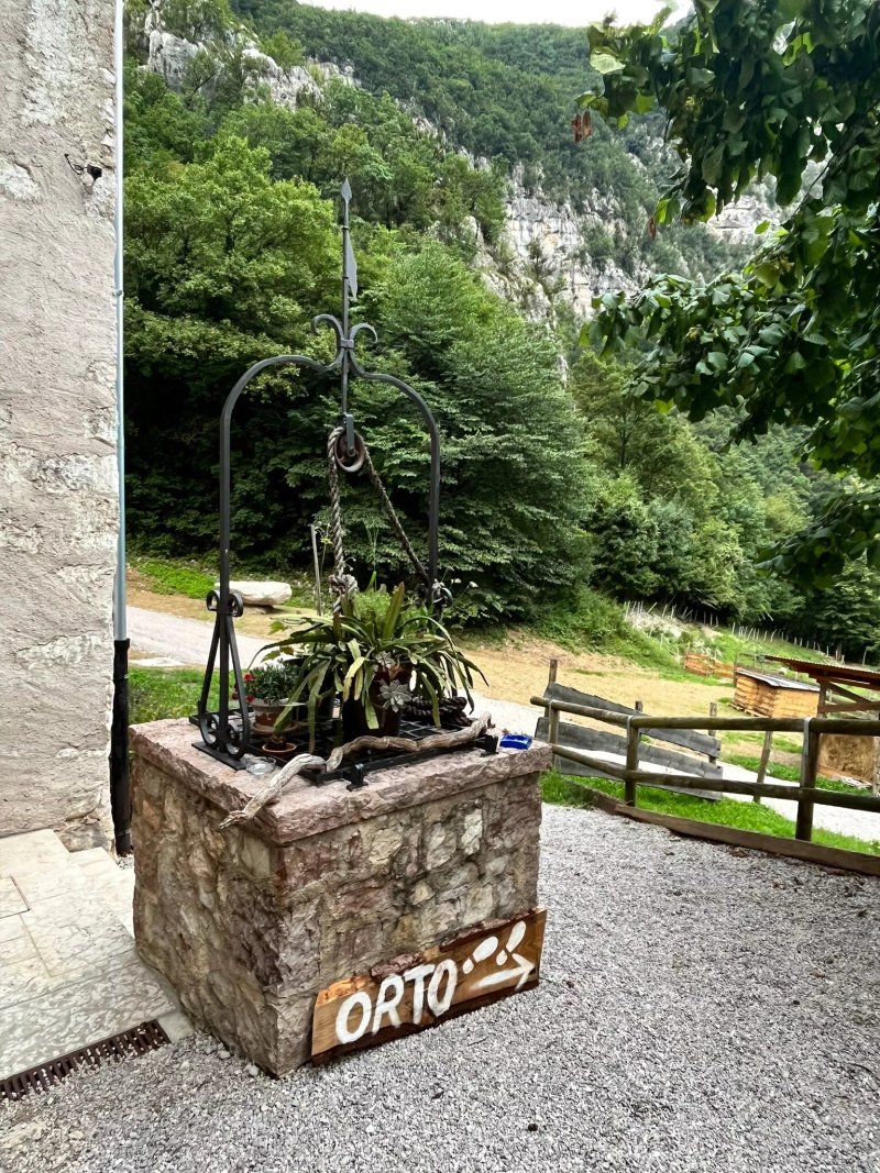 Maso Limaro