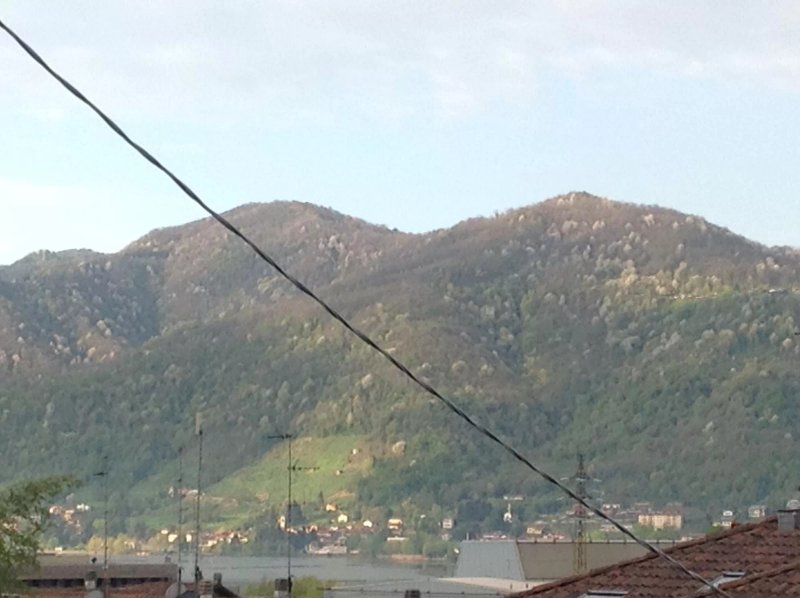 Villa Puccini B&B