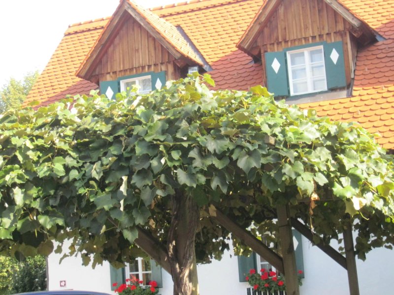 Gasthaus "Zum Fuchswirt"