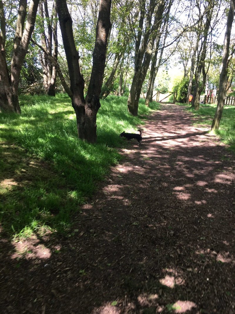 Black Horse Farm Caravan and Motorhome Club Campsite