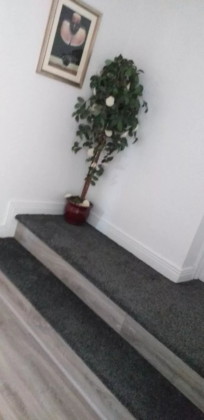 Riverview Holiday Apartments