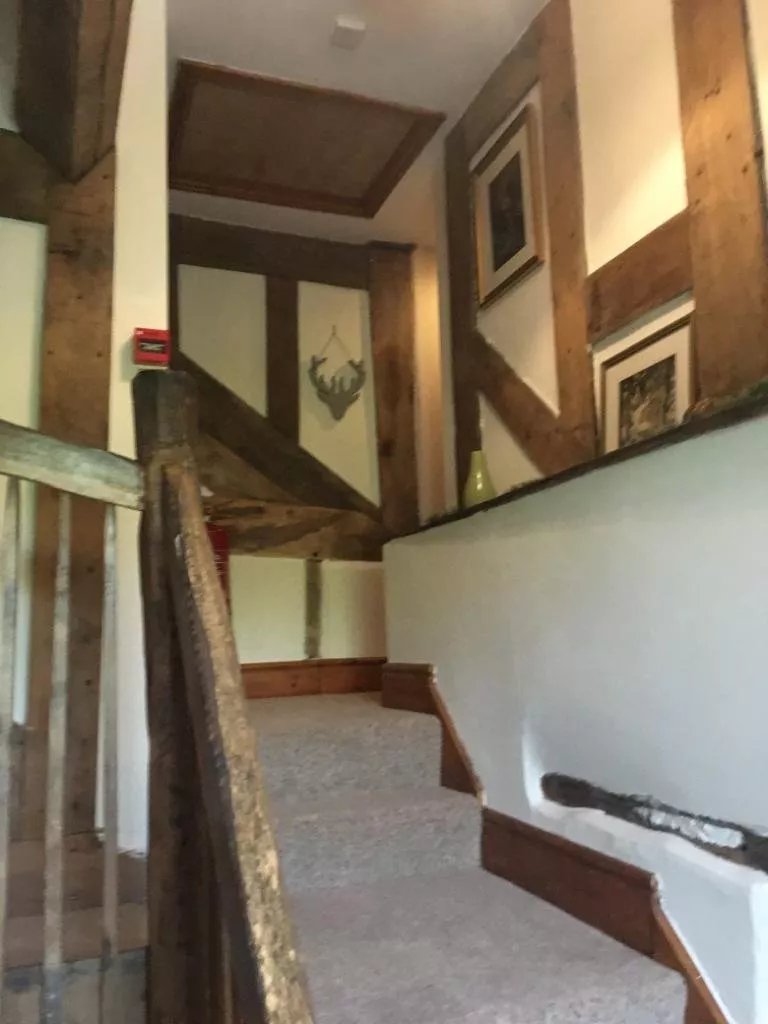 The Old Hand & Diamond
