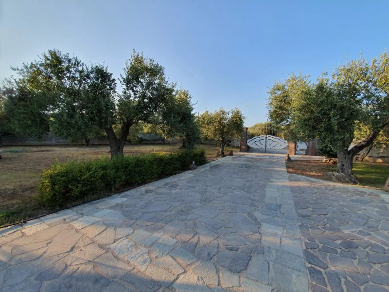 da Patrizia Bed and Breakfast