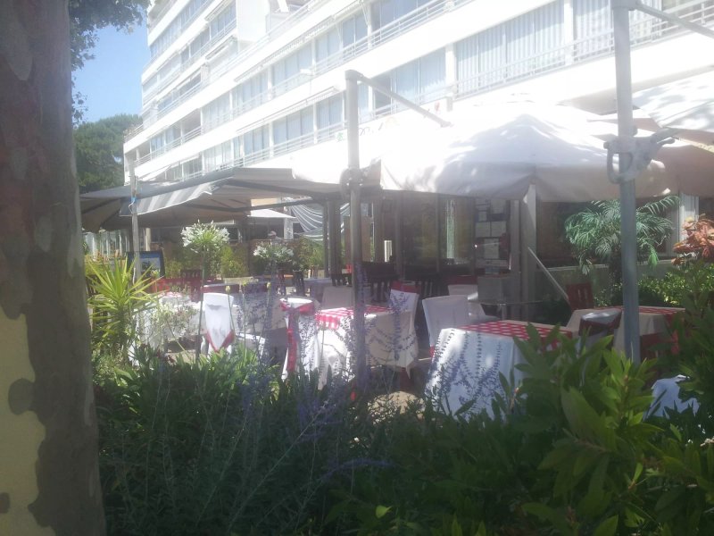 La Palmeraie des Caraibes