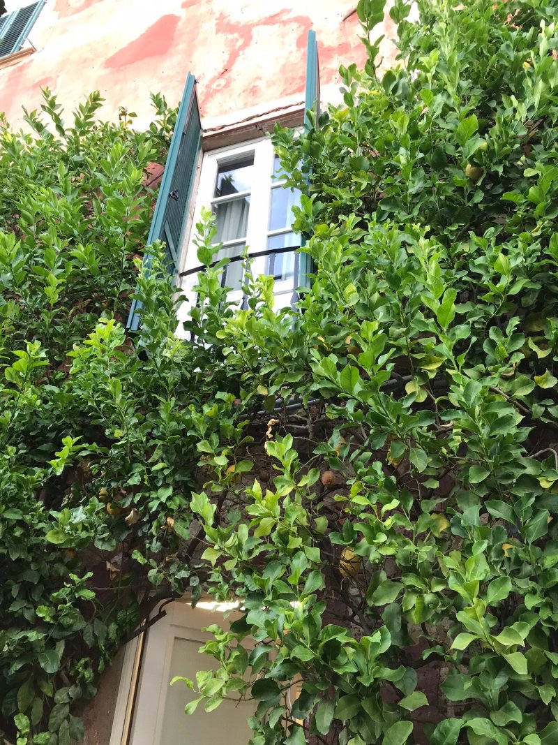 Villa Sermolli Ristorante