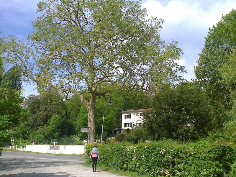 Hostellerie du Country Club