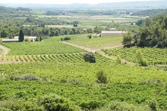 Chateau Tourril