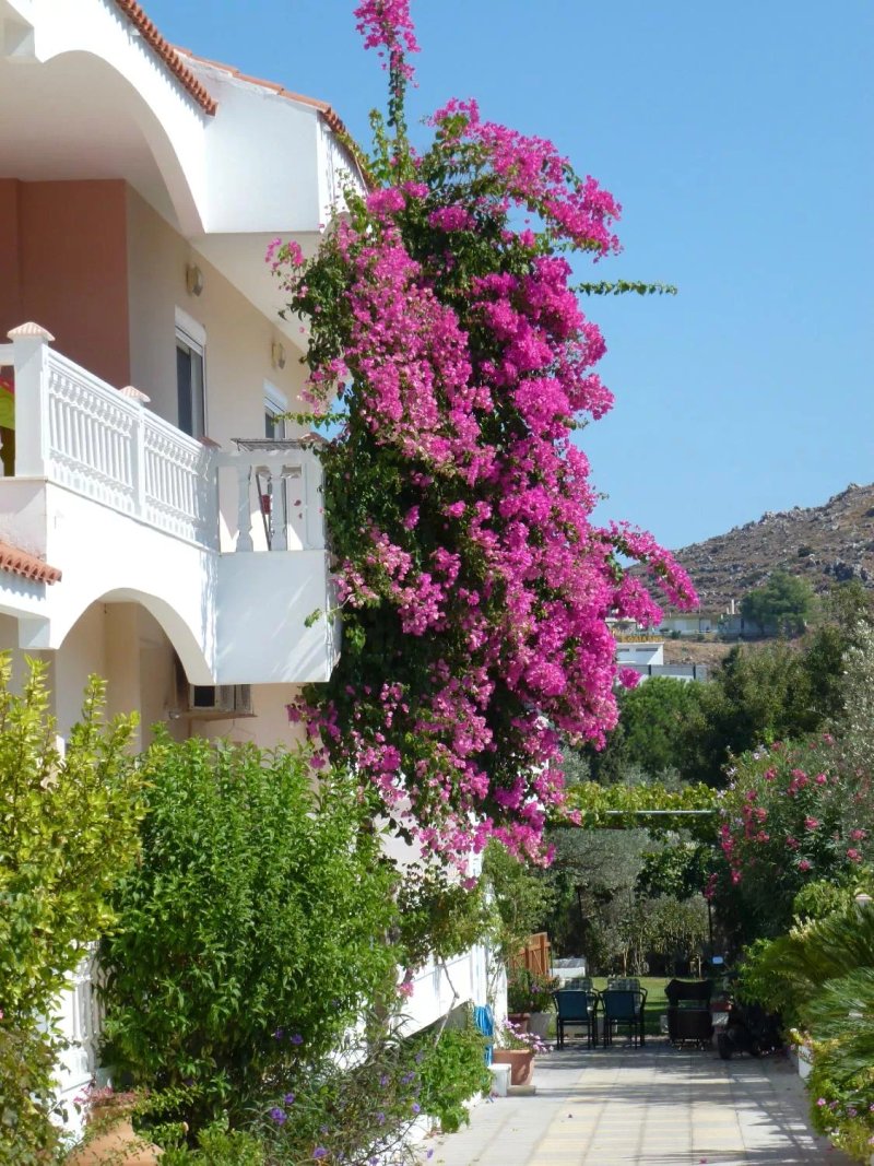 Varelis Pension