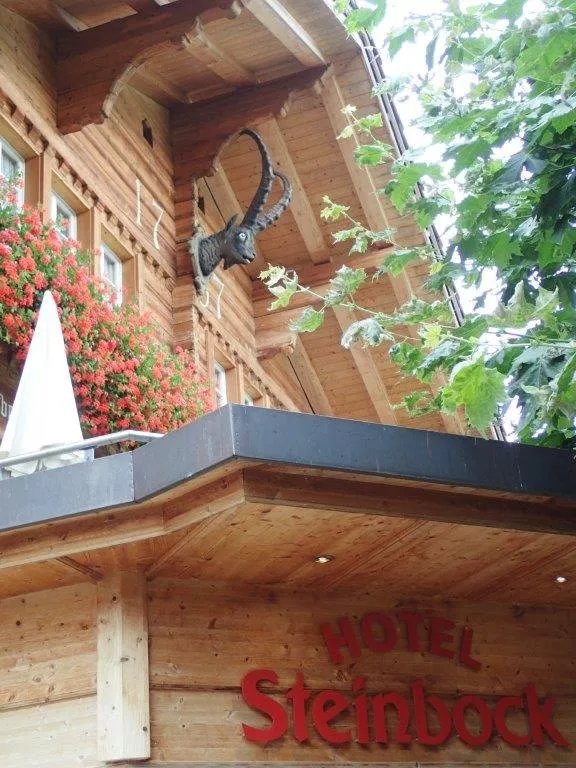 Hotel Steinbock