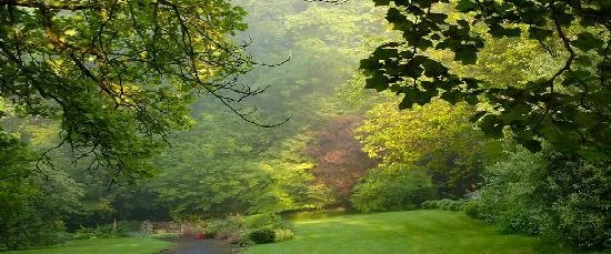 De Montalt Wood