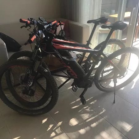 Navarino Outdoors - Day Biking