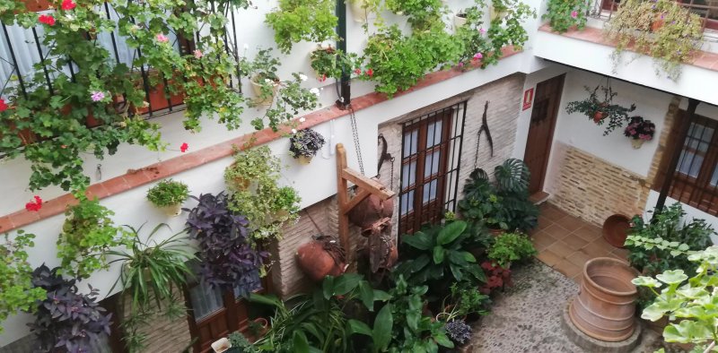 La Sultana Apartamentos