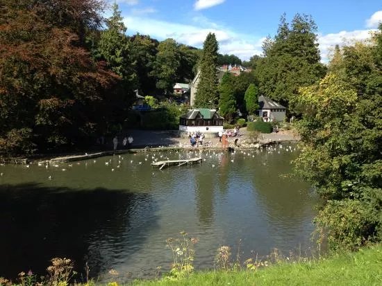 Ornamental Gardens