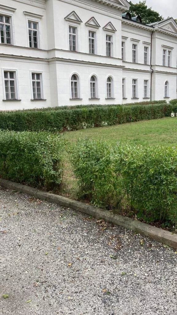 Schloss Reichenberg (zamek Liberec)