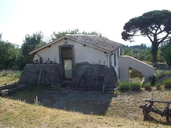 Azienda Agrituristica Borgo Roncone