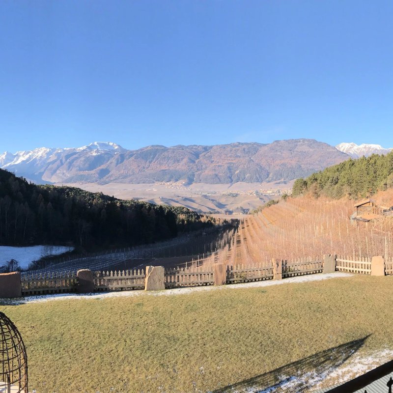 Agriturismo AlpenVidehof