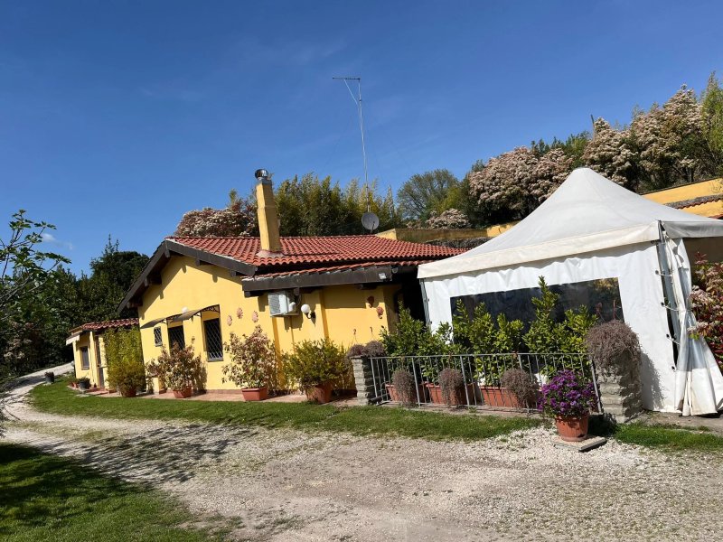 L'Angelo del Focolare