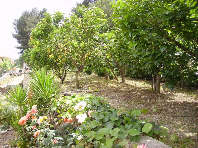 B&B Il Frutteto