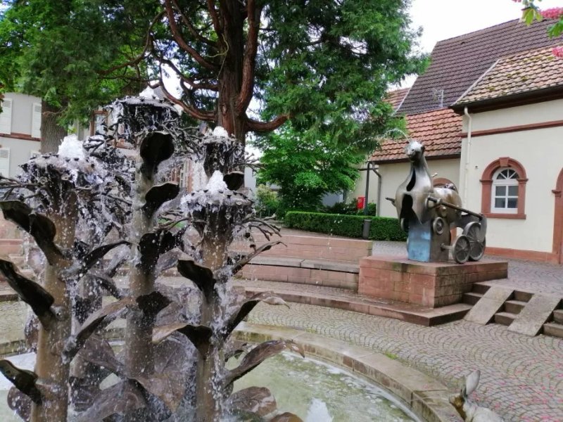 Gästehaus Seither Zur Traube