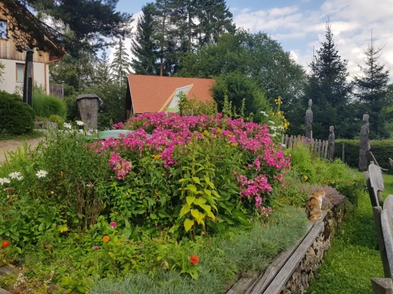 Planinski Dom Majerhold