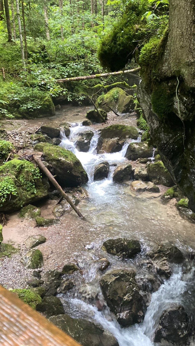 Zistelberghof