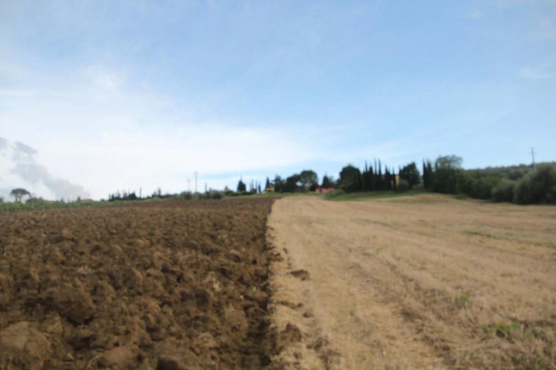 Podere Torricella