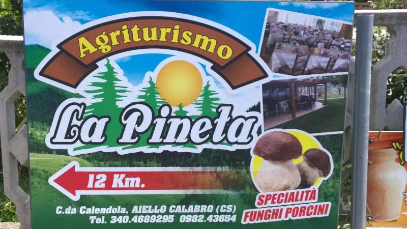 Agriturismo La Pineta