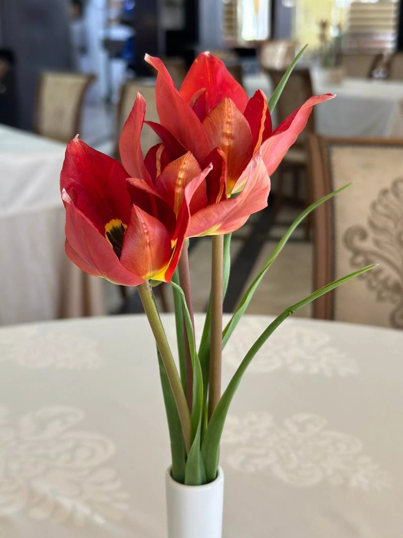 Restaurant Mantar