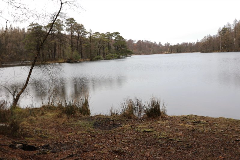 High Damtarn