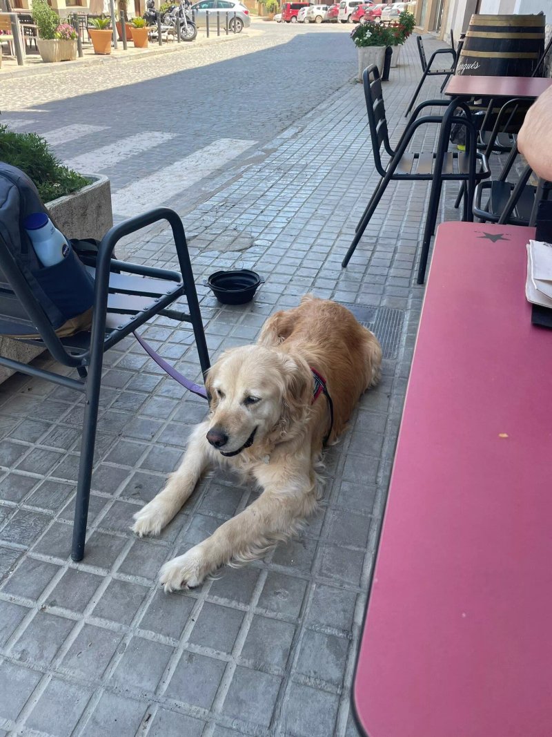 La Alacena