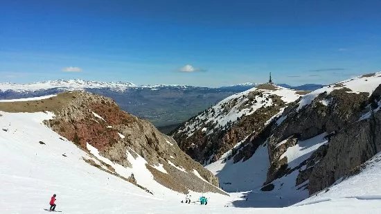 Masella