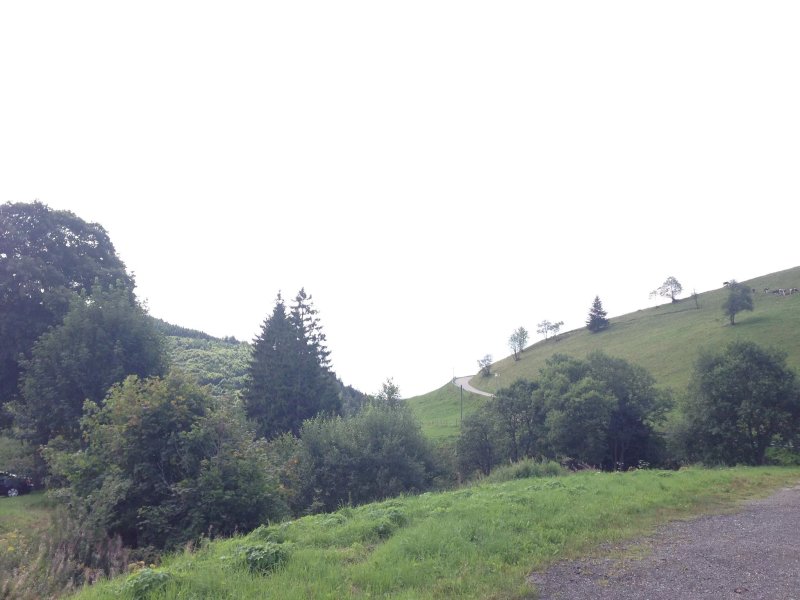 Camping Hochschwarzwald