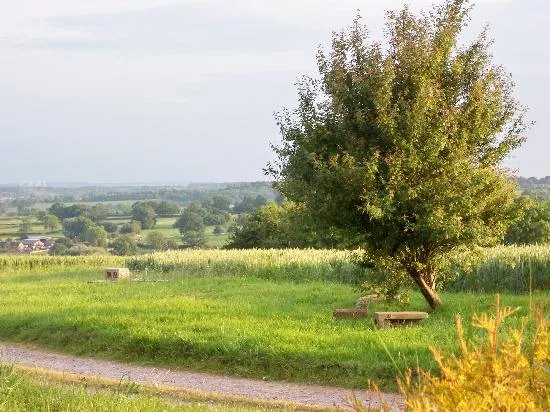 Windy Arbour Farm