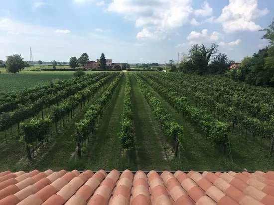 Sfriso Winery