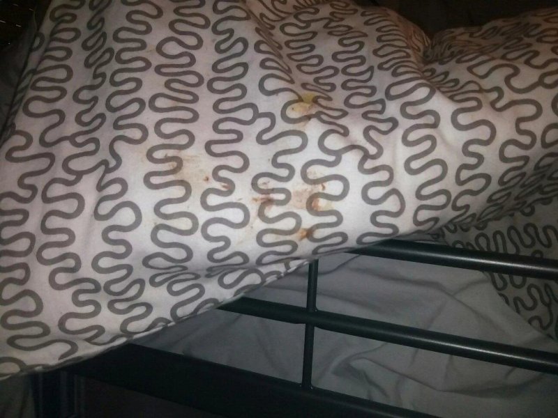 Bed Madrid