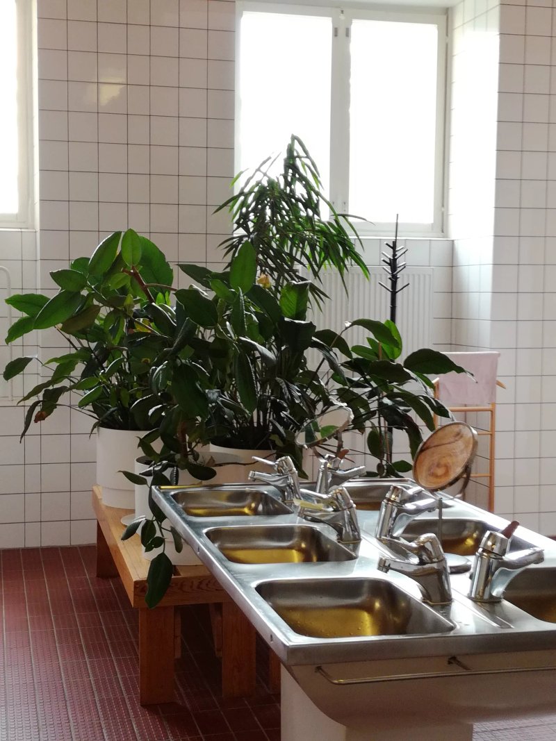 Timitra Hostel