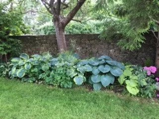 Village Farm B&B