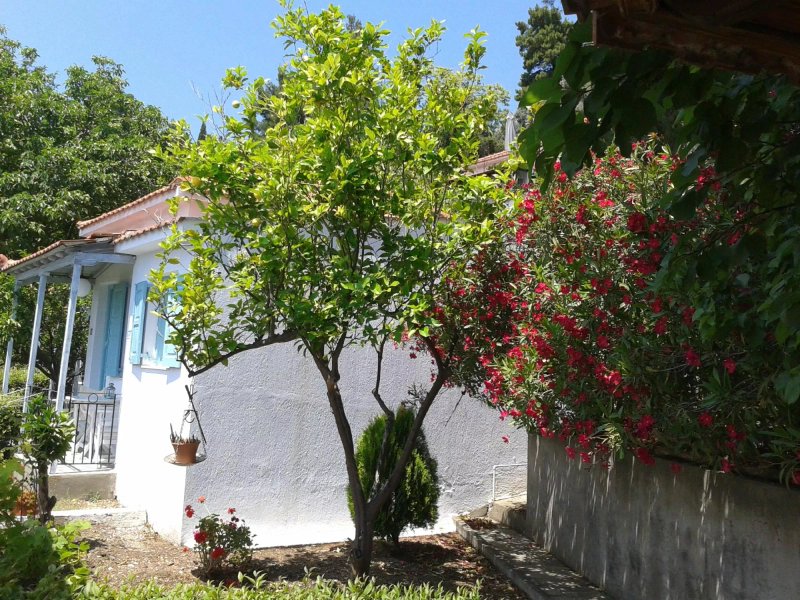 Sofia Holiday Studios