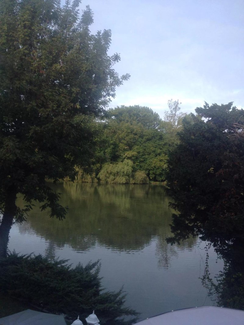 L'Etang des Reynats