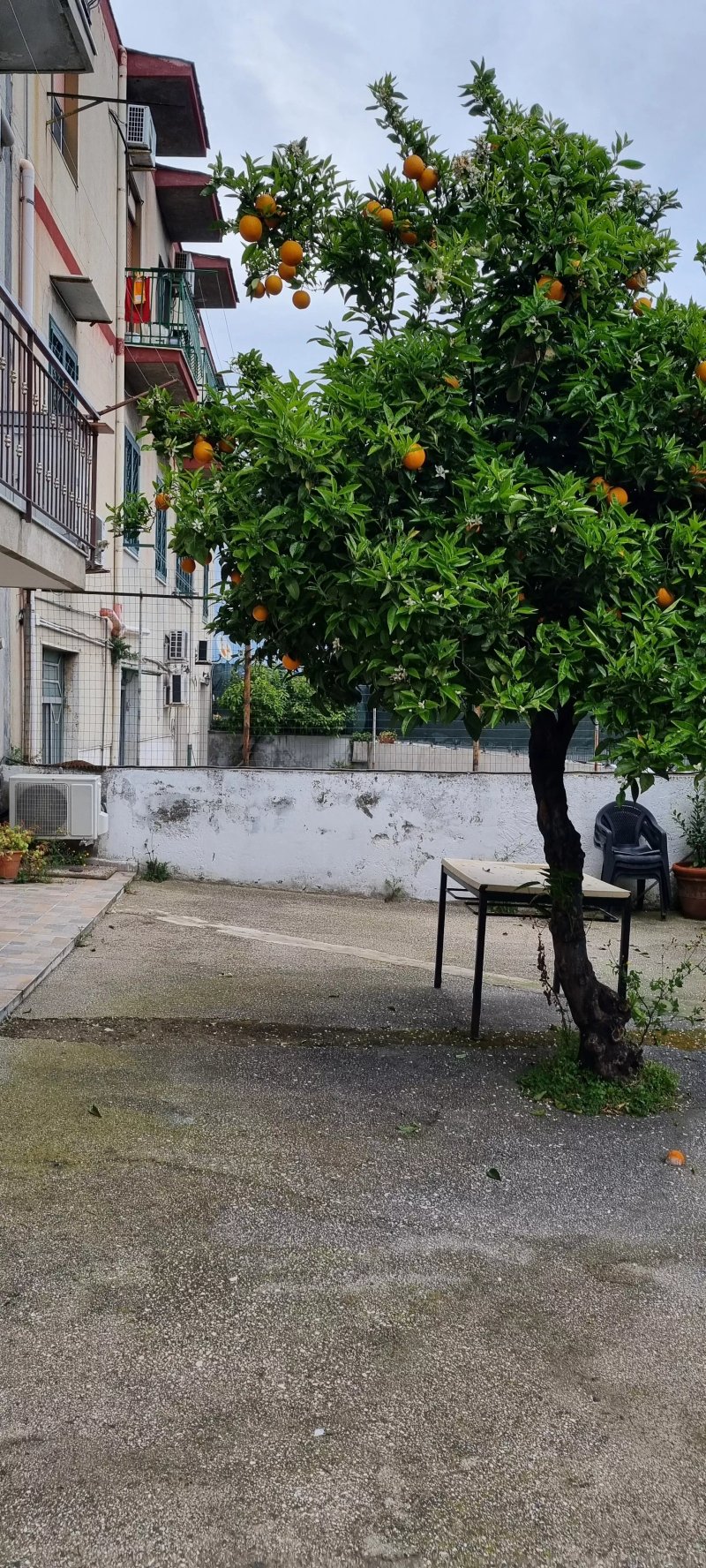 Fly to Napoli Bed and Breakfast