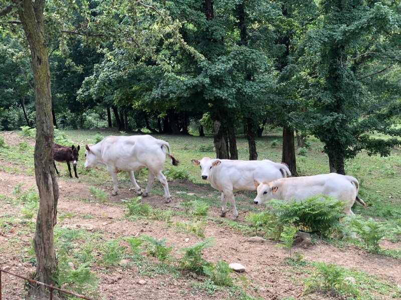 Agriturismo Sassi della Luna
