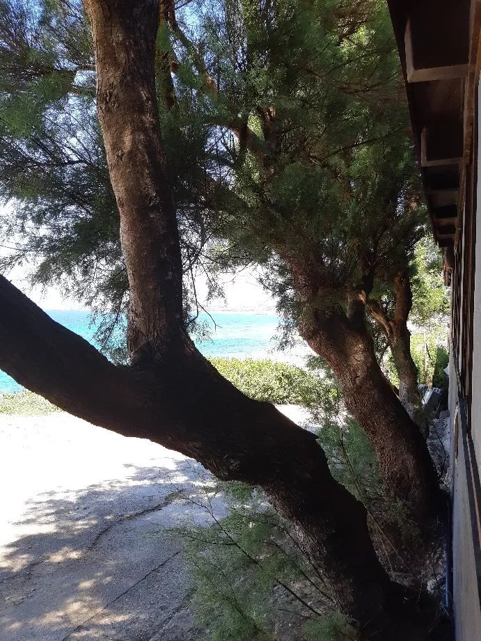 Bar Ristorante Tharros