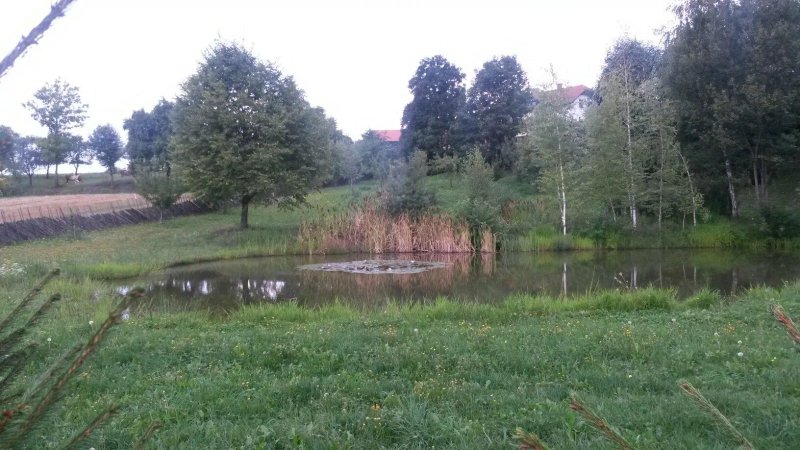 EcoHotel Koros