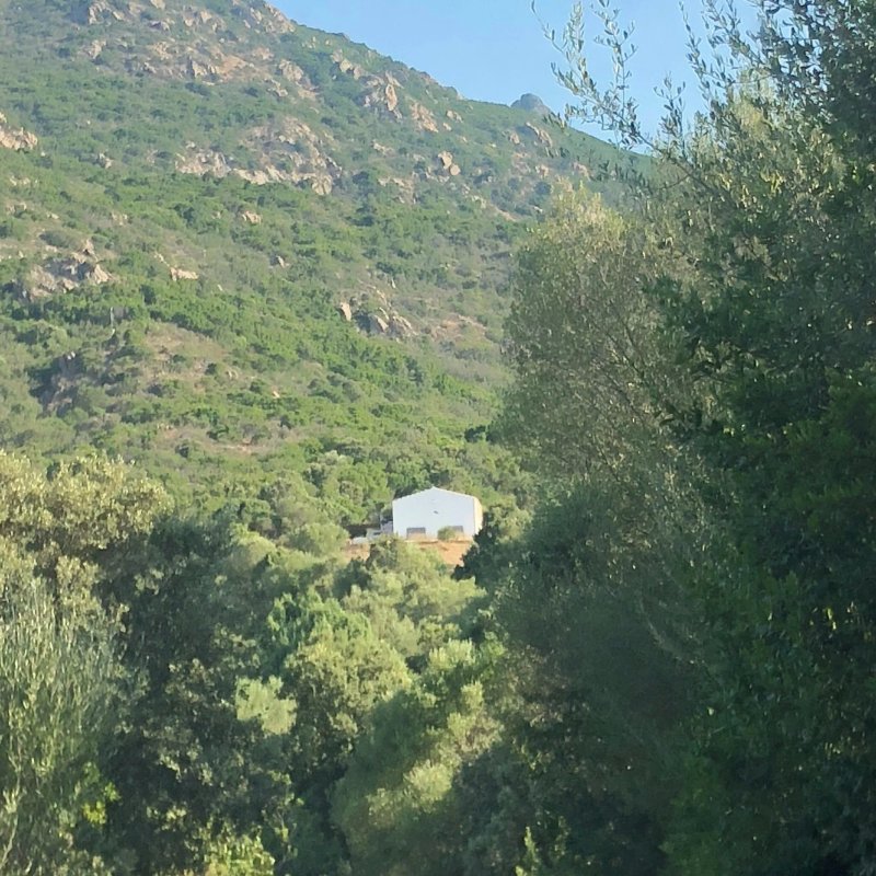 La Collina del Vento