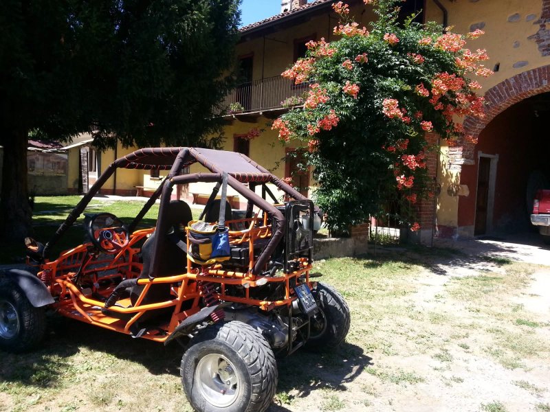 Borgogno