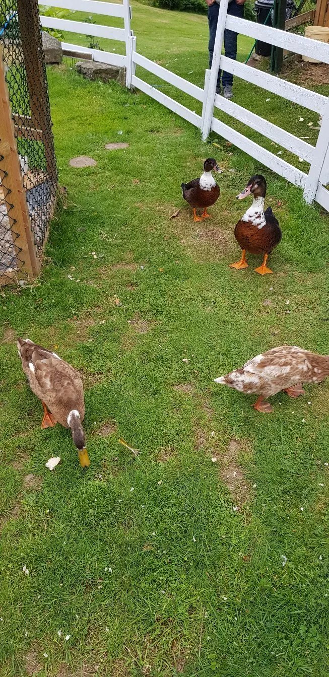 Bondegardsparken Farm Holiday