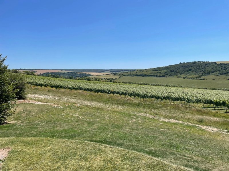 Rathfinny Tasting Room Restaurant