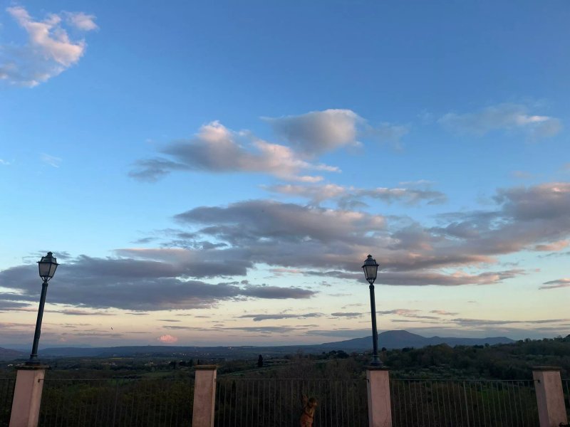 Ristorante Tenuta Villa Torriti