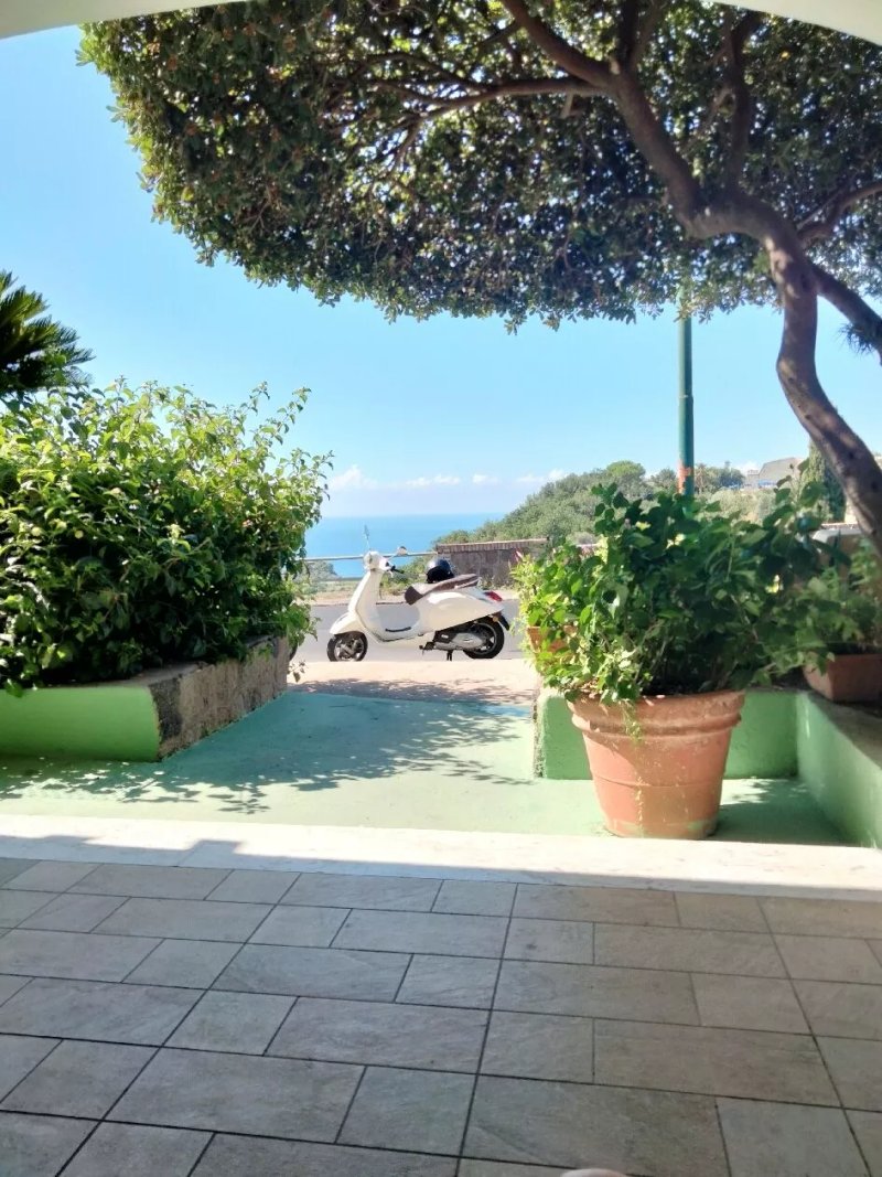 Hotel Polito