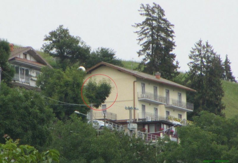 Sette Colli